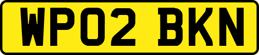 WP02BKN