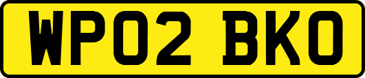 WP02BKO