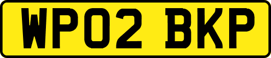 WP02BKP