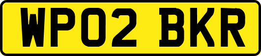 WP02BKR
