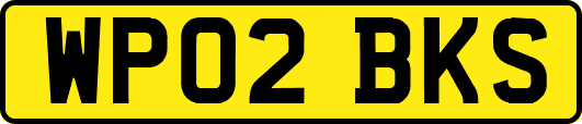WP02BKS