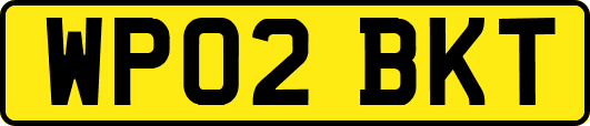 WP02BKT