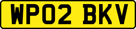 WP02BKV
