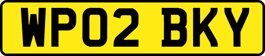 WP02BKY