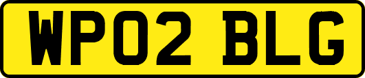 WP02BLG