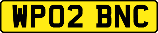 WP02BNC