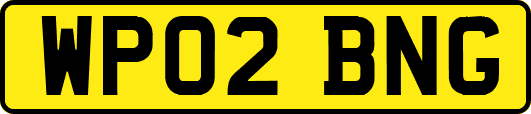 WP02BNG