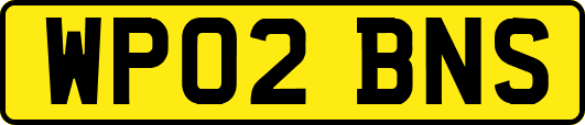 WP02BNS