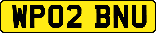 WP02BNU