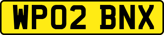 WP02BNX