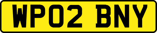 WP02BNY