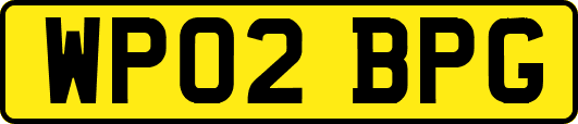 WP02BPG