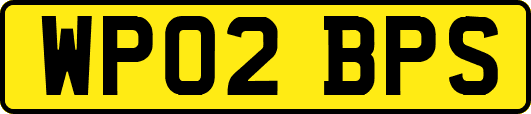 WP02BPS