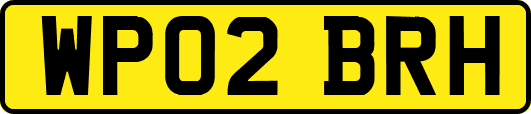 WP02BRH
