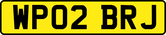 WP02BRJ