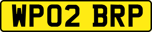 WP02BRP