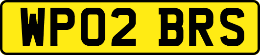 WP02BRS