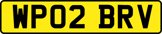 WP02BRV