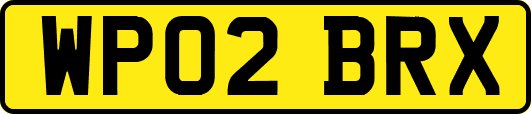 WP02BRX