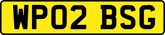 WP02BSG