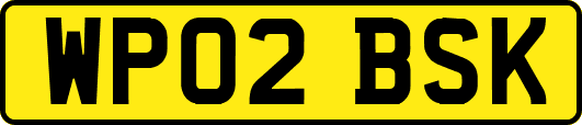 WP02BSK