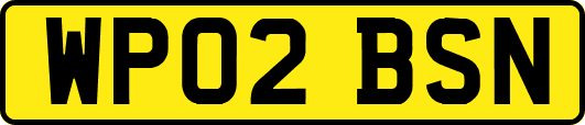 WP02BSN