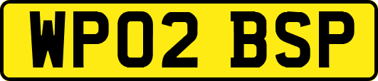 WP02BSP