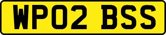 WP02BSS