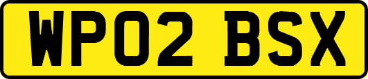 WP02BSX