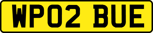 WP02BUE