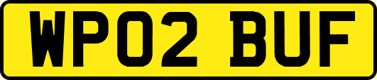 WP02BUF