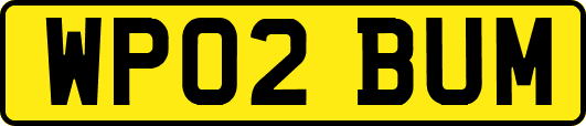 WP02BUM