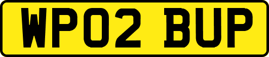 WP02BUP
