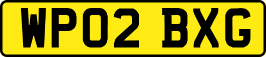 WP02BXG