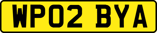 WP02BYA