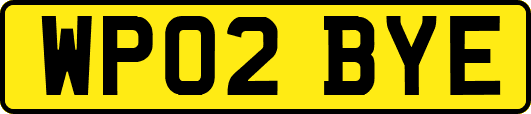 WP02BYE