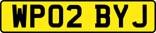 WP02BYJ