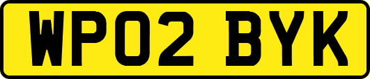 WP02BYK
