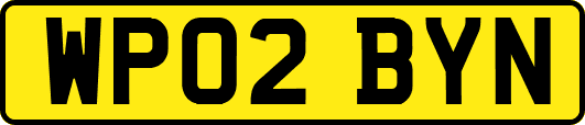 WP02BYN
