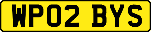 WP02BYS
