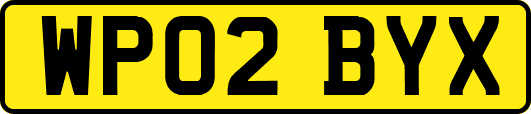 WP02BYX