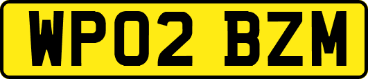 WP02BZM