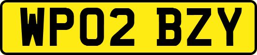 WP02BZY