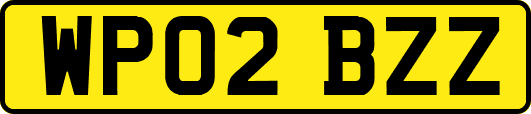 WP02BZZ