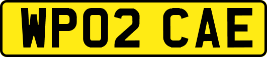 WP02CAE