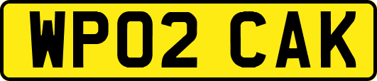 WP02CAK
