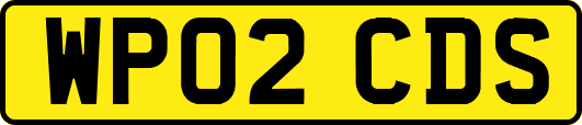 WP02CDS