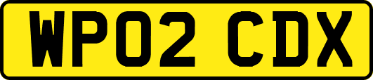 WP02CDX