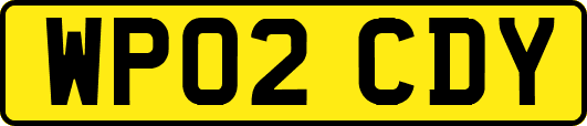 WP02CDY