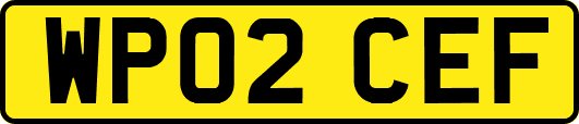 WP02CEF